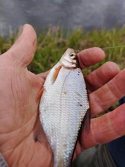 Нажмите на изображение для увеличения.  Название:	IMG_20260419_162139.jpg Просмотров:	15 Размер:	251.0 Кб ID:	4559855