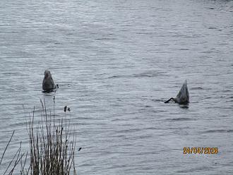 Нажмите на изображение для увеличения.

Название:	IMG_0716.JPG
Просмотров:	58
Размер:	438.2 Кб
ID:	4559919