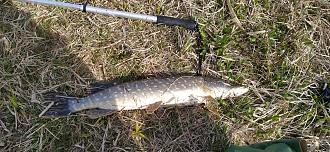 Нажмите на изображение для увеличения.

Название:	IMG_20260424_102634.jpg
Просмотров:	56
Размер:	629.5 Кб
ID:	4559918