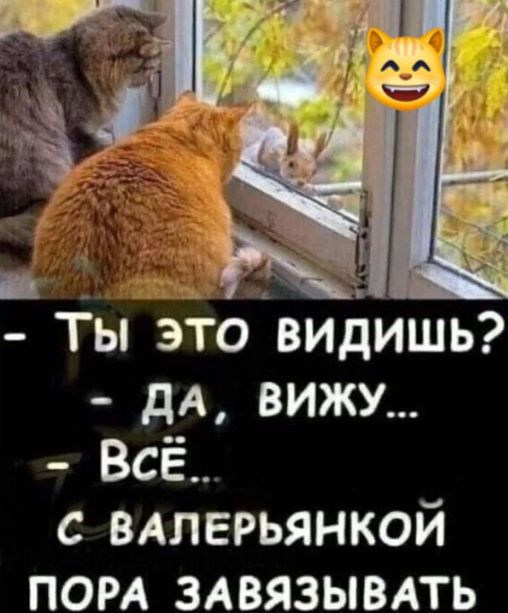 Нажмите на изображение для увеличения.

Название:	677933518_1517314313433435_8074510098912092335_n.jpg
Просмотров:	31
Размер:	110.1 Кб
ID:	4559996