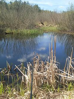 Нажмите на изображение для увеличения.  Название:	IMG_20260424_131658_361.jpg Просмотров:	0 Размер:	701.3 Кб ID:	4560034