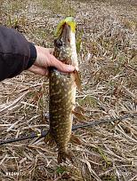 Нажмите на изображение для увеличения.  Название:	IMG_20260425_170337.jpg Просмотров:	0 Размер:	715.4 Кб ID:	4560022