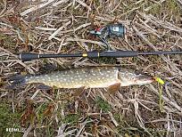 Нажмите на изображение для увеличения.  Название:	IMG_20260425_170233.jpg Просмотров:	0 Размер:	734.8 Кб ID:	4560023