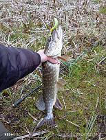 Нажмите на изображение для увеличения.  Название:	IMG_20260425_172703.jpg Просмотров:	0 Размер:	718.0 Кб ID:	4560025