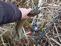 Нажмите на изображение для увеличения.  Название:	IMG_20260425_174640.jpg Просмотров:	0 Размер:	689.8 Кб ID:	4560026