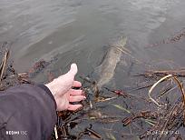 Нажмите на изображение для увеличения.  Название:	IMG_20260425_174725.jpg Просмотров:	0 Размер:	456.0 Кб ID:	4560028