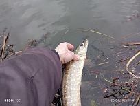 Нажмите на изображение для увеличения.  Название:	IMG_20260425_174721.jpg Просмотров:	0 Размер:	431.5 Кб ID:	4560029