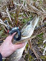 Нажмите на изображение для увеличения.  Название:	IMG_20260425_175345.jpg Просмотров:	0 Размер:	560.6 Кб ID:	4560030