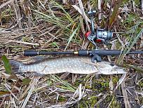 Нажмите на изображение для увеличения.  Название:	IMG_20260425_175321.jpg Просмотров:	0 Размер:	739.7 Кб ID:	4560031