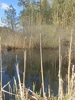 Нажмите на изображение для увеличения.  Название:	IMG_20260424_131704_494.jpg Просмотров:	0 Размер:	701.5 Кб ID:	4560035