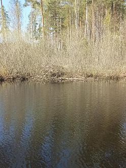 Нажмите на изображение для увеличения.  Название:	IMG_20260424_132209_091.jpg Просмотров:	0 Размер:	694.9 Кб ID:	4560036