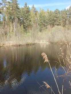 Нажмите на изображение для увеличения.  Название:	IMG_20260424_132217_631.jpg Просмотров:	0 Размер:	566.6 Кб ID:	4560037