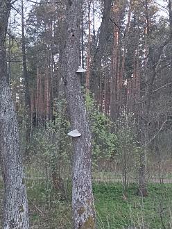 Нажмите на изображение для увеличения.  Название:	IMG_20260421_192414_019.jpg Просмотров:	0 Размер:	602.1 Кб ID:	4560038