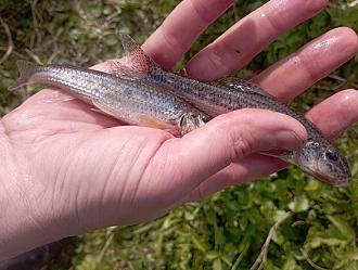 Нажмите на изображение для увеличения.

Название:	IMG_20260425_160201.jpg
Просмотров:	417
Размер:	445.3 Кб
ID:	4560071