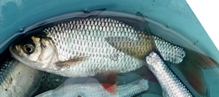 Нажмите на изображение для увеличения.  Название:	image_600426.jpg Просмотров:	0 Размер:	71.3 Кб ID:	4560137