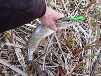 Нажмите на изображение для увеличения.

Название:	IMG_20260426_200144.jpg
Просмотров:	99
Размер:	649.6 Кб
ID:	4560145