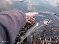 Нажмите на изображение для увеличения.

Название:	IMG_20260426_200205_1.jpg
Просмотров:	89
Размер:	408.2 Кб
ID:	4560146