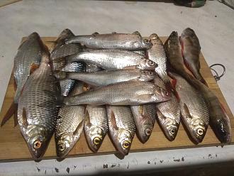 Нажмите на изображение для увеличения.  Название:	изображение_viber_2026-04-27_19-49-39-874.jpg Просмотров:	0 Размер:	342.9 Кб ID:	4560192