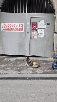 Нажмите на изображение для увеличения.  Название:	20260424_122113.jpg Просмотров:	0 Размер:	463.6 Кб ID:	4560214