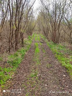 Нажмите на изображение для увеличения.

Название:	IMG_20260429_090301.jpg
Просмотров:	58
Размер:	657.8 Кб
ID:	4560332