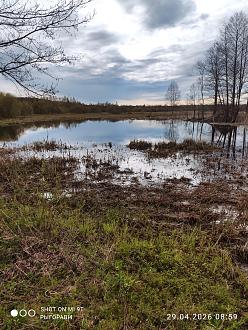 Нажмите на изображение для увеличения.

Название:	IMG_20260429_085916.jpg
Просмотров:	59
Размер:	617.9 Кб
ID:	4560333