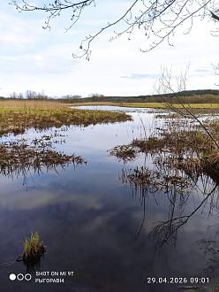 Нажмите на изображение для увеличения.

Название:	IMG_20260429_090149.jpg
Просмотров:	57
Размер:	486.0 Кб
ID:	4560336