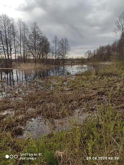 Нажмите на изображение для увеличения.

Название:	IMG_20260429_085922.jpg
Просмотров:	58
Размер:	618.4 Кб
ID:	4560334