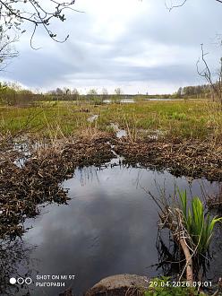 Нажмите на изображение для увеличения.

Название:	IMG_20260429_090159.jpg
Просмотров:	57
Размер:	544.6 Кб
ID:	4560335