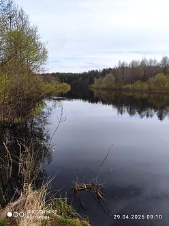 Нажмите на изображение для увеличения.

Название:	IMG_20260429_091004.jpg
Просмотров:	58
Размер:	468.0 Кб
ID:	4560338