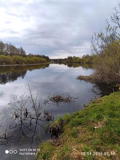 Нажмите на изображение для увеличения.

Название:	IMG_20260429_091022.jpg
Просмотров:	58
Размер:	503.4 Кб
ID:	4560339