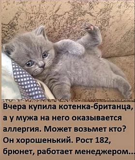 Нажмите на изображение для увеличения.

Название:	11zon_cropped (55).jpeg
Просмотров:	7
Размер:	127.7 Кб
ID:	4560363