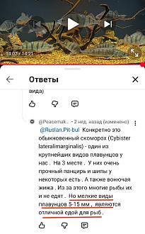 Нажмите на изображение для увеличения.

Название:	IMG_20260509_225929.jpg
Просмотров:	16
Размер:	147.7 Кб
ID:	4561193