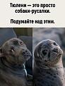 Нажмите на изображение для увеличения.

Название:	702450921_17890761468495983_9137574389712913580_n.jpg
Просмотров:	116
Размер:	169.9 Кб
ID:	4562002