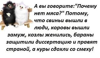 Нажмите на изображение для увеличения.

Название:	698494713_971510915586249_6288667895731956582_n.jpg
Просмотров:	153
Размер:	59.7 Кб
ID:	4562077