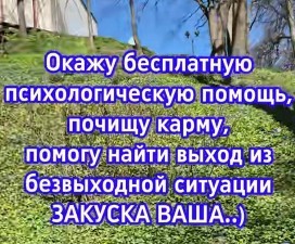 Нажмите на изображение для увеличения.

Название:	Скриншот 27-05-2026 082000.jpg
Просмотров:	43
Размер:	38.6 Кб
ID:	4562766