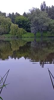 Нажмите на изображение для увеличения.

Название:	IMG_20260531_214728.jpg
Просмотров:	94
Размер:	239.7 Кб
ID:	4563121