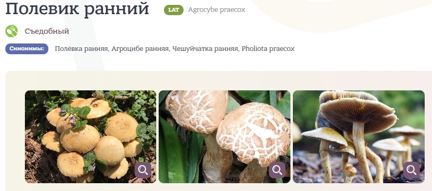 Нажмите на изображение для увеличения.

Название:	Скриншот 01-06-2026 074758.jpg
Просмотров:	257
Размер:	88.9 Кб
ID:	4563159
