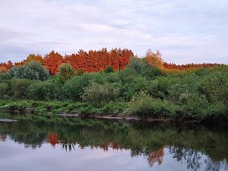Нажмите на изображение для увеличения.  Название:	IMG_20260530_212201.jpg Просмотров:	38 Размер:	536.1 Кб ID:	4563190