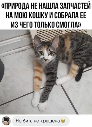 Нажмите на изображение для увеличения.

Название:	11zon_cropped (7).png
Просмотров:	160
Размер:	197.1 Кб
ID:	4563353