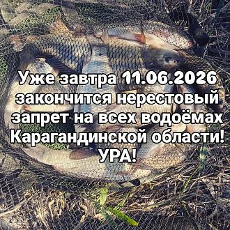 Нажмите на изображение для увеличения.

Название:	721200541_18365968177225679_8283274859022795788_n.jpg
Просмотров:	0
Размер:	831.6 Кб
ID:	4563921