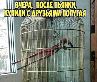 Нажмите на изображение для увеличения.

Название:	IMG_20260618_113640_891.jpg
Просмотров:	44
Размер:	61.9 Кб
ID:	4564506
