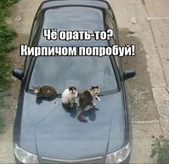 Нажмите на изображение для увеличения.

Название:	11zon_cropped (87).jpeg
Просмотров:	139
Размер:	43.0 Кб
ID:	4565645