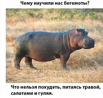 Нажмите на изображение для увеличения.

Название:	Screenshot_2026-07-08-11-47-01-300_com.facebook.lite.jpg
Просмотров:	74
Размер:	155.4 Кб
ID:	4566151