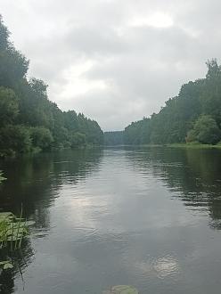 Нажмите на изображение для увеличения.  Название:	IMG_20260708_062103_112.jpg Просмотров:	0 Размер:	303.5 Кб ID:	4566208