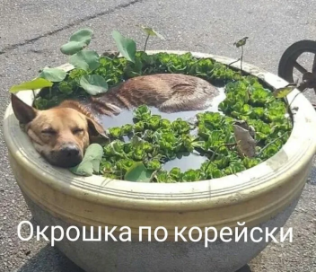 Нажмите на изображение для увеличения.  Название:	upload_2026-7-9_20-30-6.png Просмотров:	0 Размер:	227.3 Кб ID:	4566635