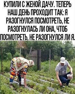 Нажмите на изображение для увеличения.

Название:	IMG_20260715_131910_836.jpg
Просмотров:	248
Размер:	300.8 Кб
ID:	4566651