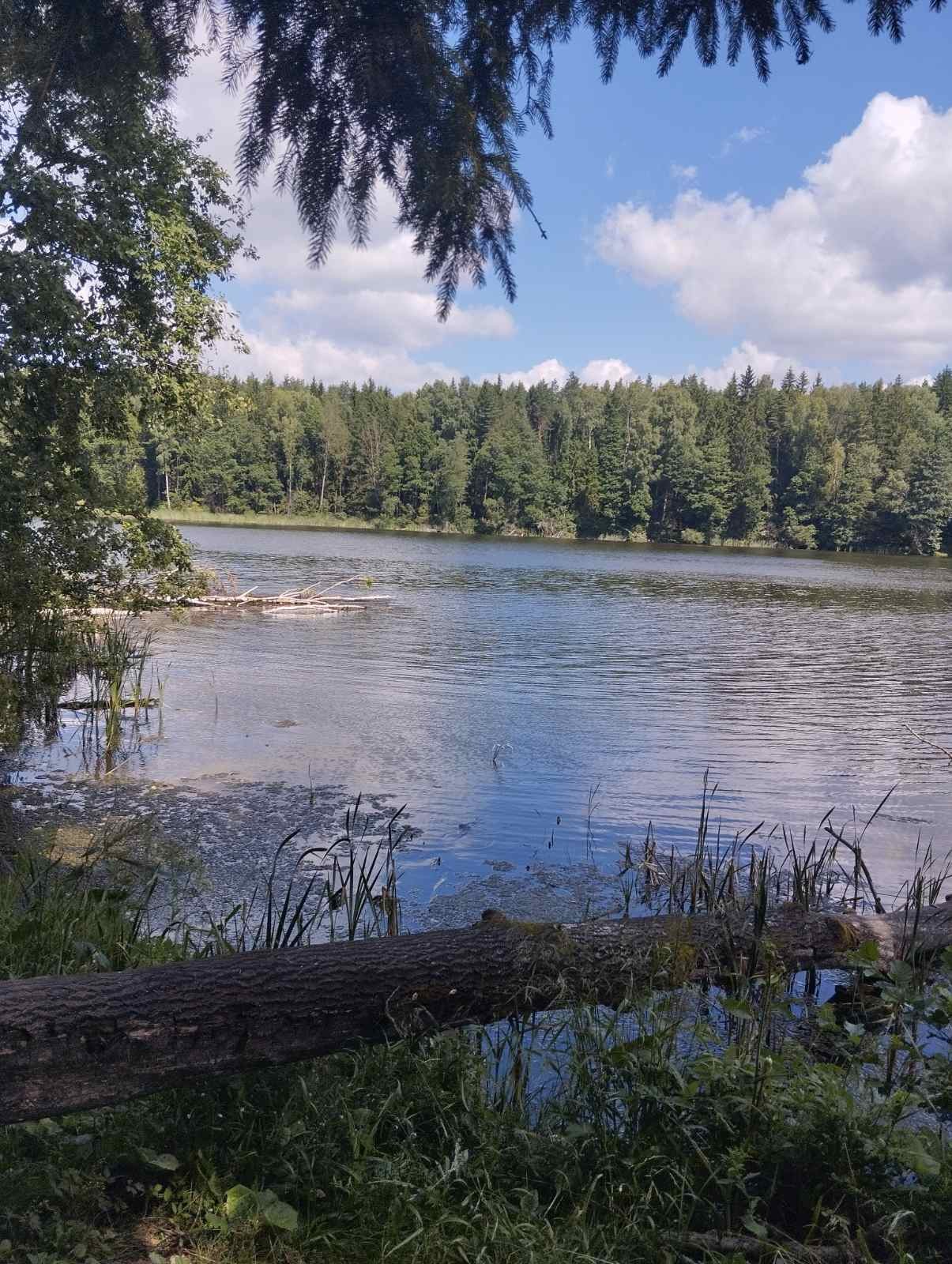 Нажмите на изображение для увеличения.

Название:	изображение_viber_2026-07-16_12-18-34-701.jpg
Просмотров:	68
Размер:	476.9 Кб
ID:	4566790