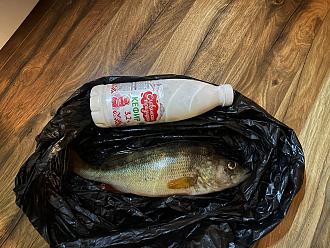 Нажмите на изображение для увеличения.  Название:	IMG_20260720_120428_274.jpg Просмотров:	16 Размер:	331.2 Кб ID:	4567087