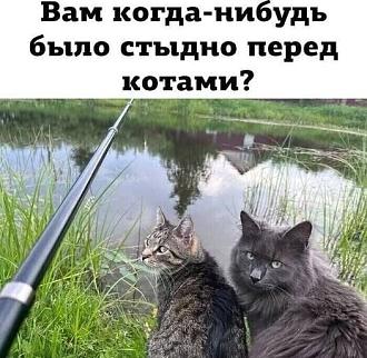 Нажмите на изображение для увеличения.

Название:	photo_2026-07-20_13-29-04.jpg
Просмотров:	0
Размер:	79.8 Кб
ID:	4567117