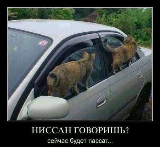 Нажмите на изображение для увеличения.

Название:	666619618_4322975741310484_6487117810494206022_n.jpg
Просмотров:	25
Размер:	50.2 Кб
ID:	4567123